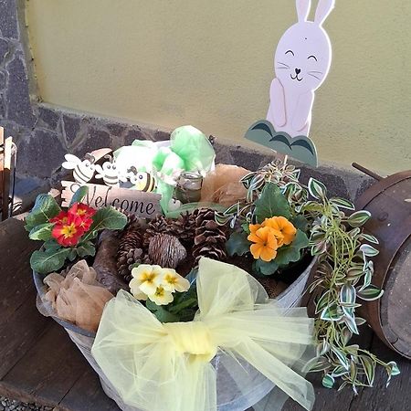 B&B Barbettini Bereguardo Kültér fotó